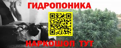 прущие крисы Краснокаменск