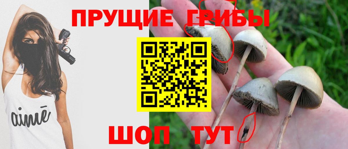 Псилоцибиновые грибы мицелий Ишимбай